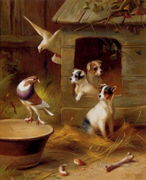 Pigeons And Puppies poultry livestock barn Edgar Hunt Oil Paintings